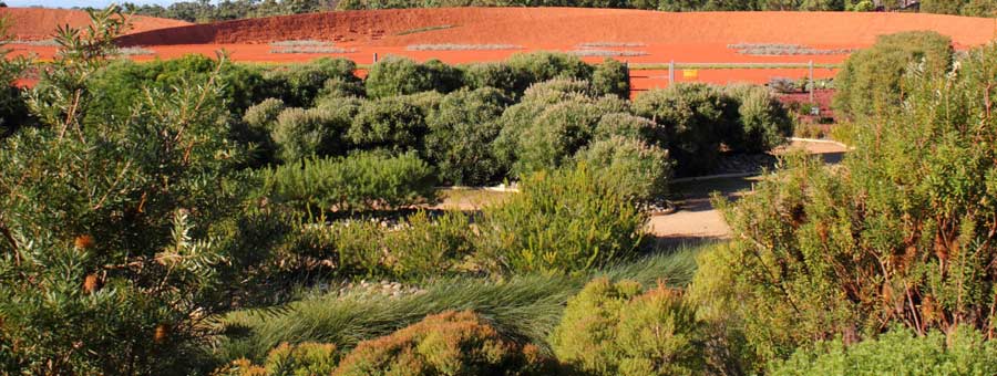 Cranbourne Royal Botanical Gardens