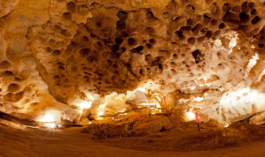 Naracoorte Caves National Park