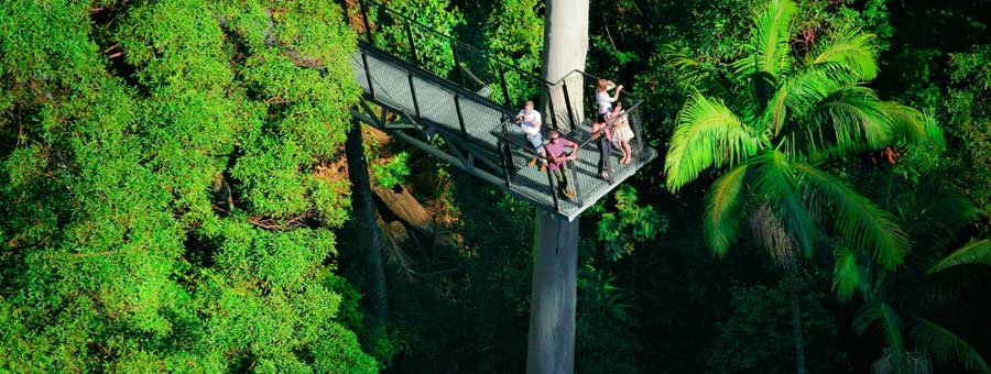 Tamborine Rainforest Skywalk