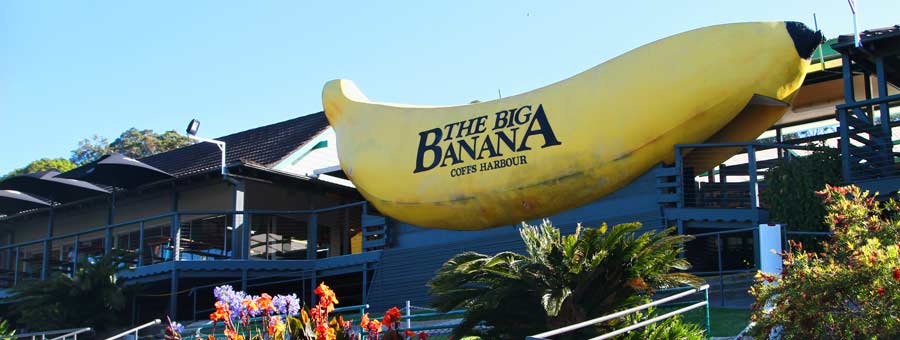 The Big Banana