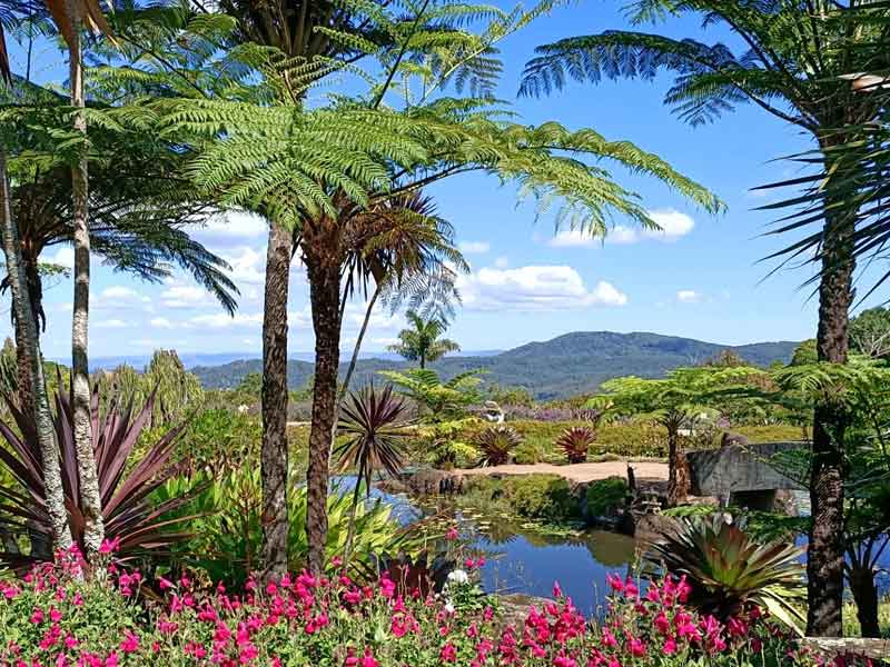 Maleny Botanical Gardens